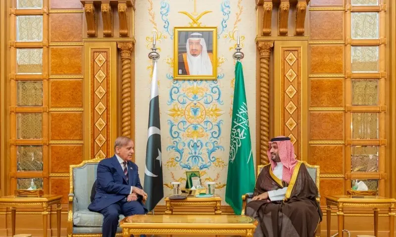 PM Shehbaz meets Saudi crown prince ahead of Future Investment Initiative conference
