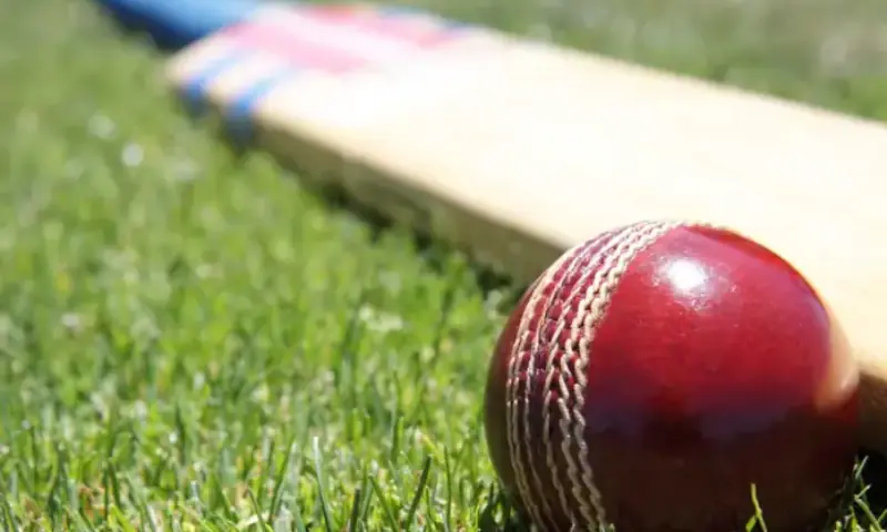 Teenage Australian cricketer dies after being hit by ball during training