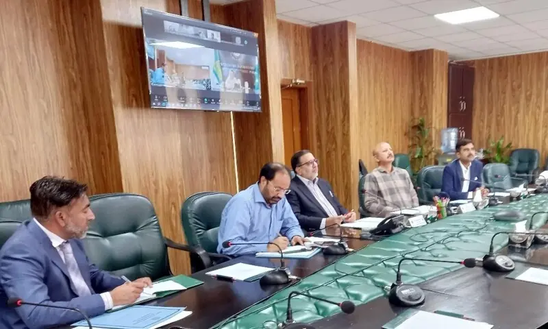 Wheat Seed Flow Smooth: Inter-Provincial Cooperation Boosts Supply - News Directory 3