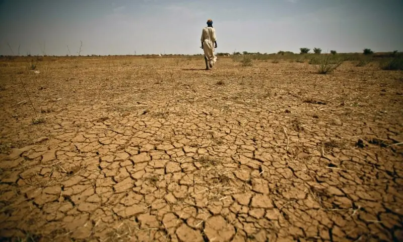 Rising land degradation