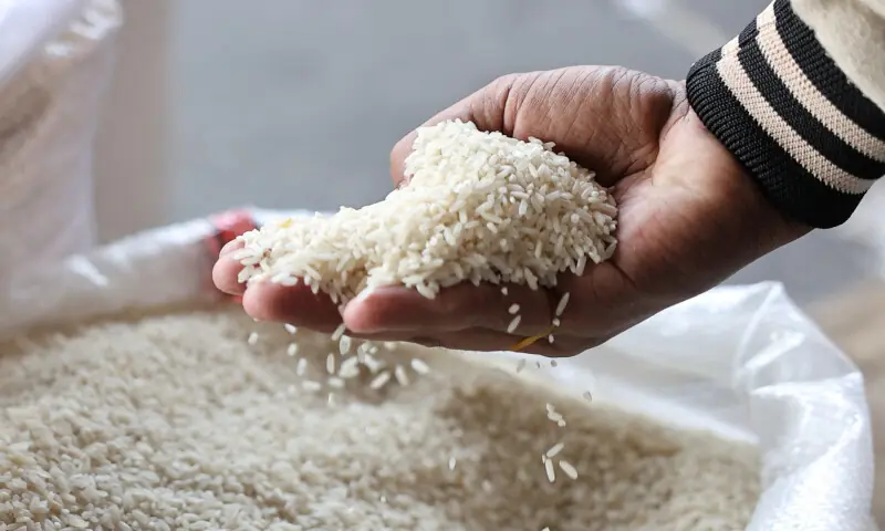Pakistan seeks to buy 100,000 tonnes of rice for supply to Bangladesh