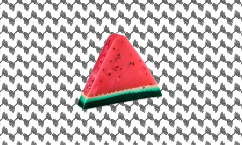 Lush cosmestics brings back its watermelon soap to support Gazan amputees