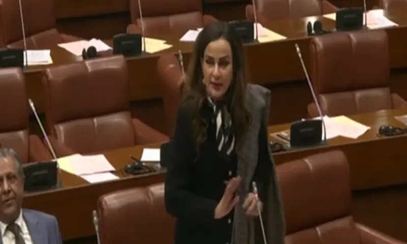 Senate okays domestic violence bill amid opposition outcry