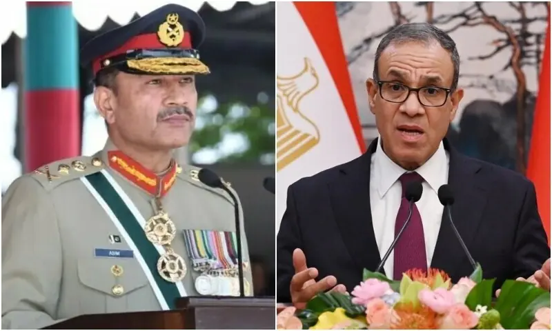 Egyptian FM discusses defence and security cooperation, regional peace with COAS Asim Munir