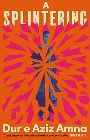 Ambitious Young Woman Novel Cover