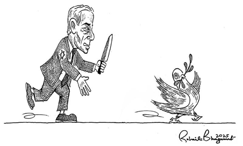 Cartoon: 24 November, 2025