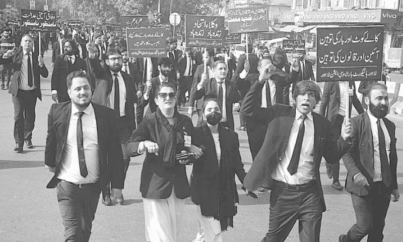 Federal Constitutional Court moved against law that created it Federal Constitutional Court moved against law that created it