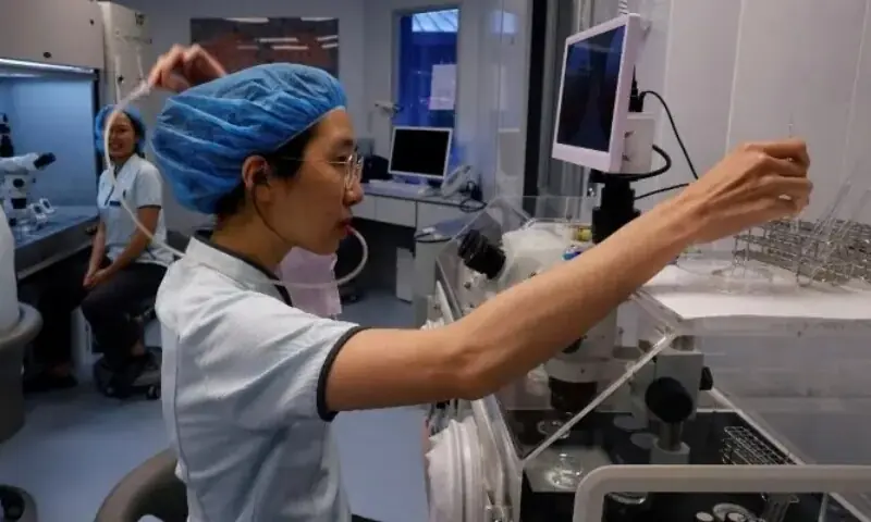 AI tools help choose best embryos for in vitro fertilisation