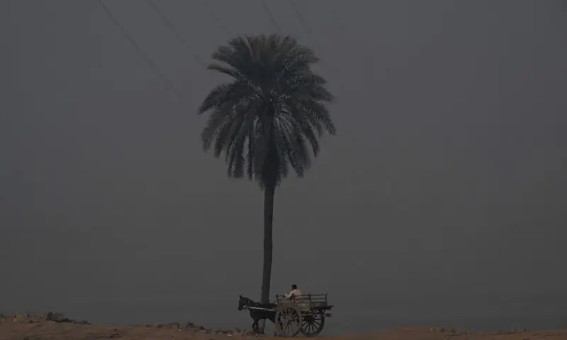 Lahore erneut als weltweit am stärksten verschmutzte Stadt eingestuft