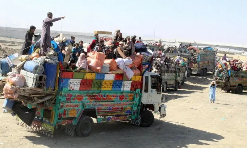 2.8m Afghans have returned to Afghanistan, says UNHCR