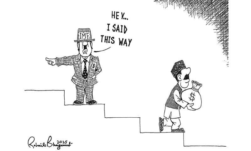 کارٹون : 22 دسمبر 2025 کارٹون : 22 دسمبر 2025