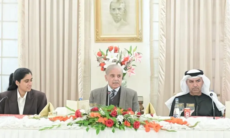 PM Shehbaz woos UAE investment  in IT sector