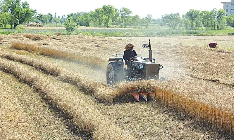 Boosting Pakistan’s agriculture