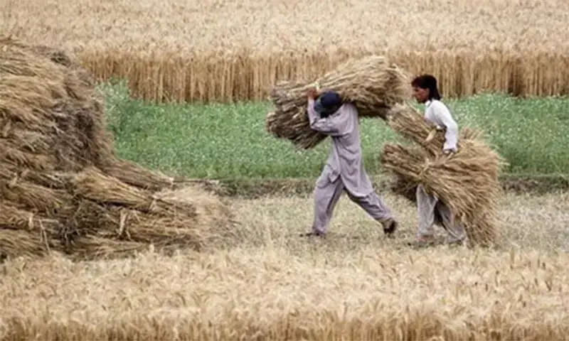 Balochistan govt approves Benazir card for farmers