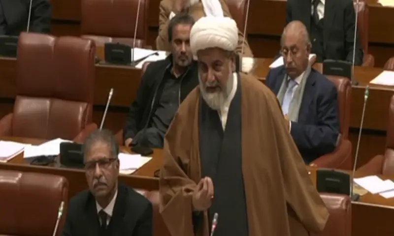 PTI-nominated MWM chief Raja Nasir Abbas appointed Senate opposition leader after months-long delay