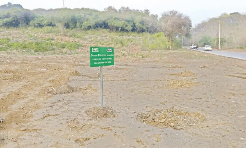 CDA takes action against developers for chopping trees in Islamabad