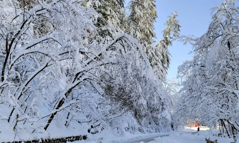 PMD warns of road closures, landslides in upper parts of country, urges tourists to remain ‘extra cautious’