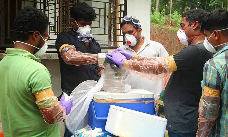 India confirms two Nipah virus cases, says it ensured ‘timely containment’ India confirms two Nipah virus cases, says it ensured ‘timely containment’