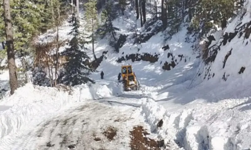 More rain, snow to fall in northern areas over next five days