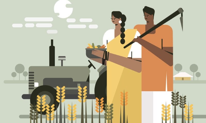Agriculture: The hidden cost of trade shocks