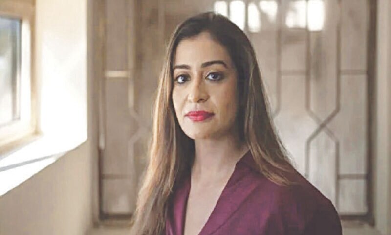 Nollywood meets Bollywood: filmmaker fuses Indian, Nigerian cultures