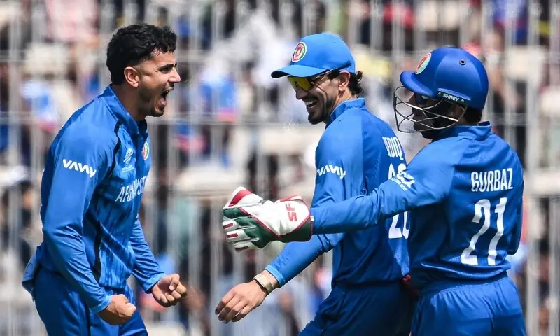 Naib’s fifty lifts Afghanistan to 182-6 against New Zealand in T20 World Cup group-stage clash