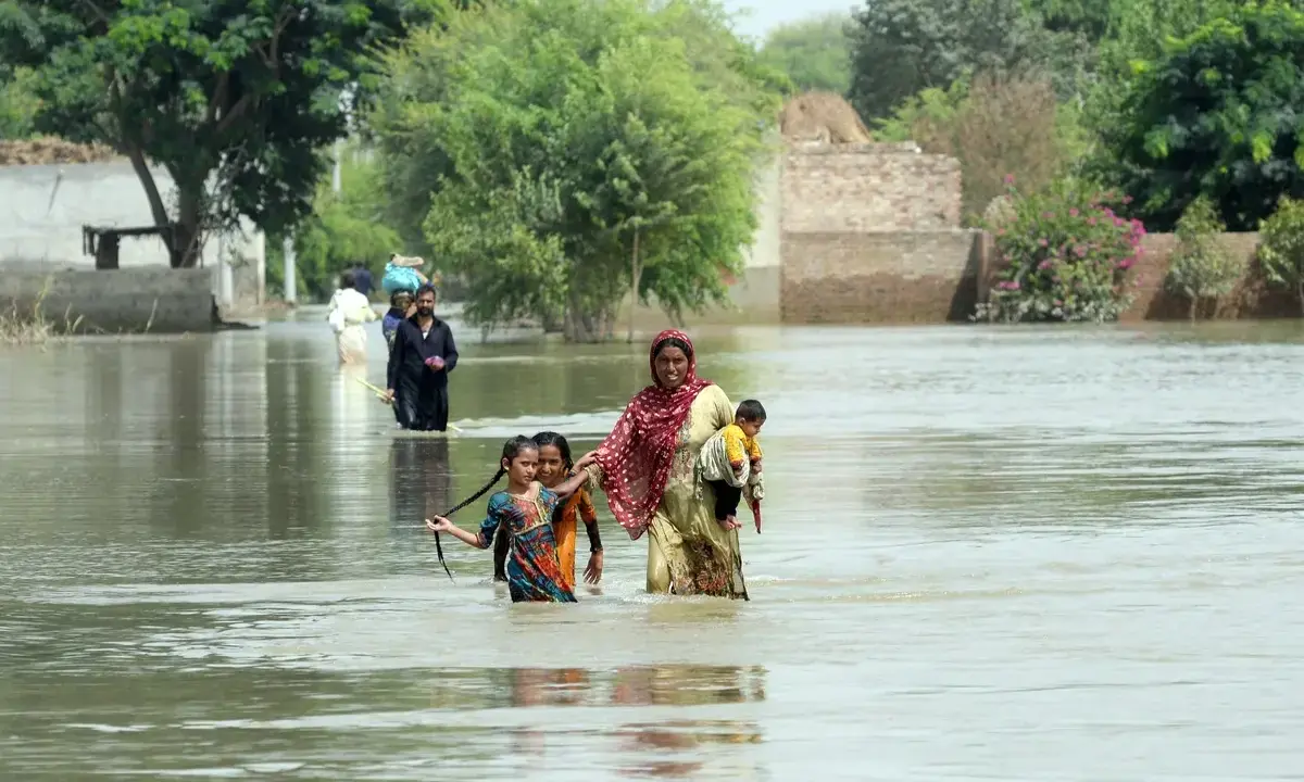 Share Your Mycelium Story