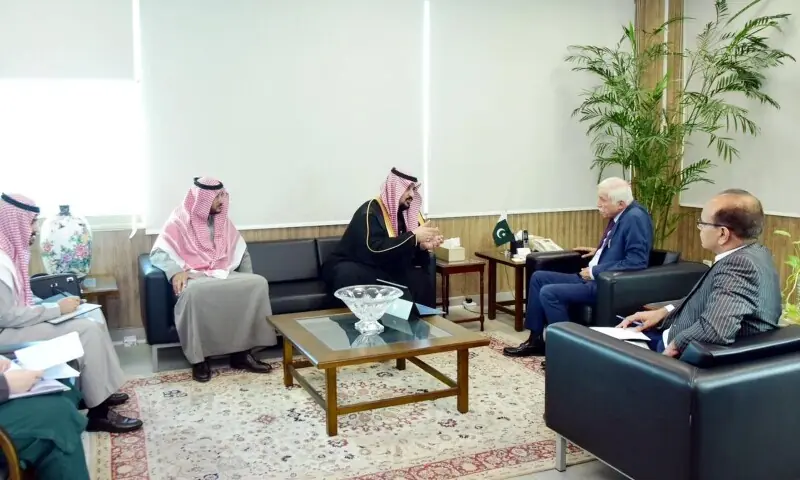 Saudi Arabia eyes Pakistan’s rice sector