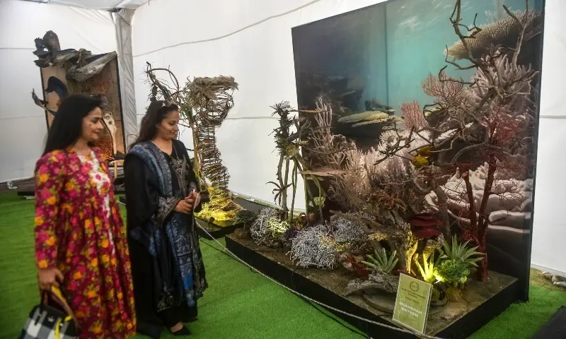 Shahimah Sayeed&rsquo;s arrangement at the Gardenia Society pavilion takes one to the bottom of the sea without diving. &mdash; Fahim Siddiqi / White Star