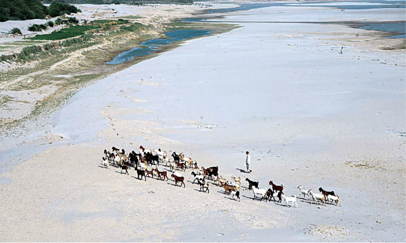 Study Highlights Human Rights Concerns in Lahore's Water and Sewerage Services