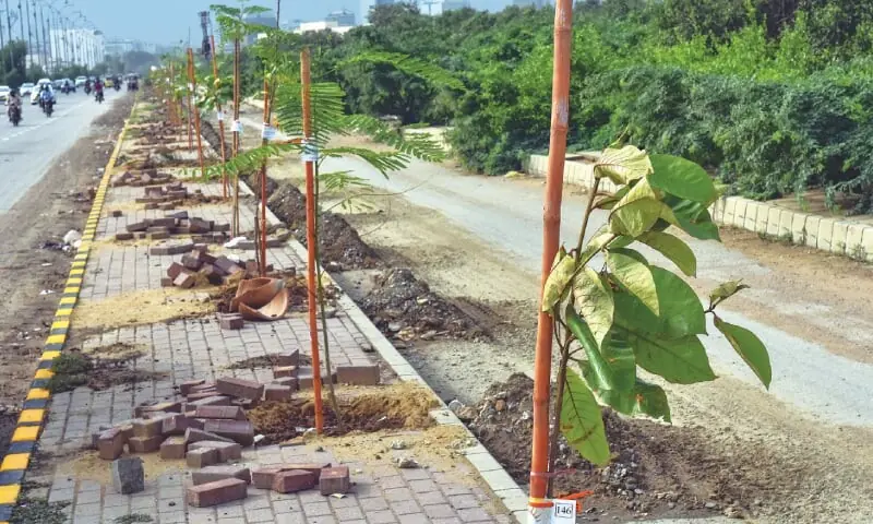 Balochistan government launches campaign to plant one million trees