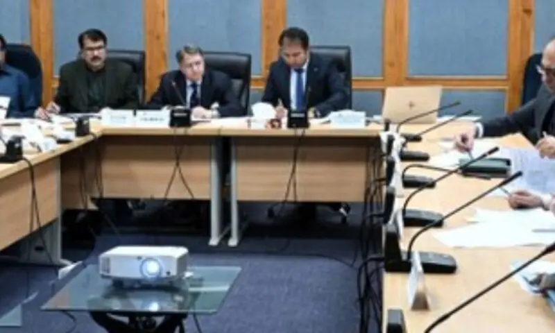 Senate committee forms subcommittee to review alleged misuse of Peca