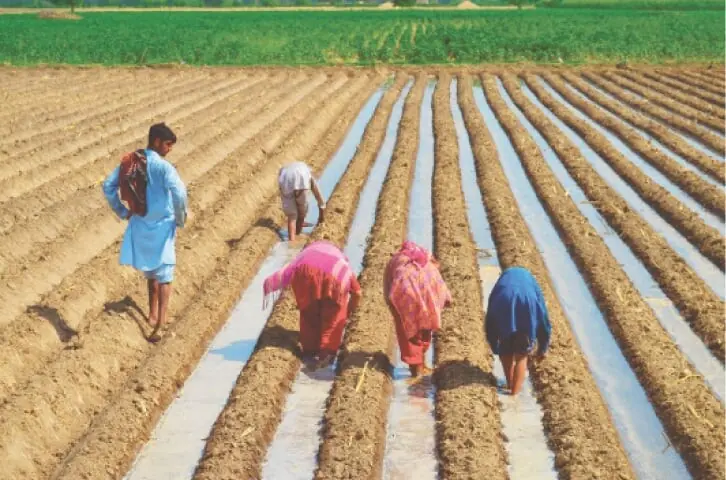 Cabinet okays rules to provide equal wages, maternity facilities to women farm workers - Dawn by Tahir Siddiqui, Zahid Hussain, Aisha Khan, Rabiya Javeri Agha, Mahir Ali, Arifa Noor