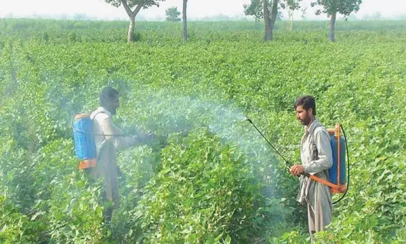 Punjab farmers oppose fuel price increase and seek diesel relief for agriculture