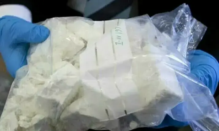 Pakistan customs busts major drug trafficking operations