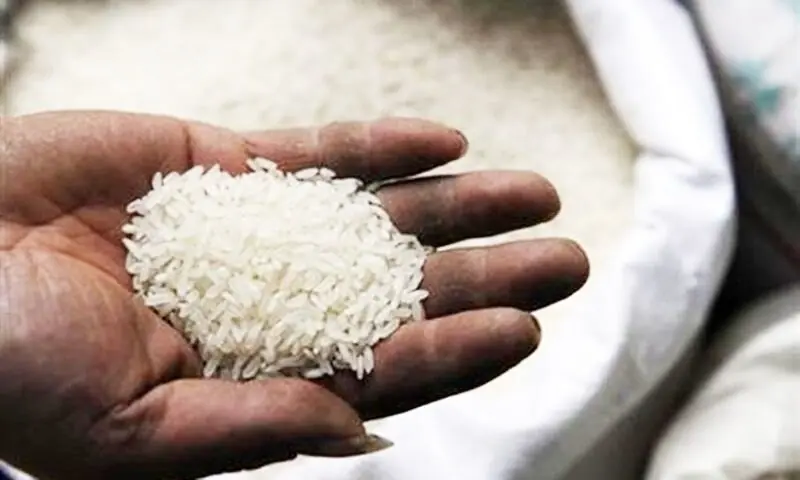 Basmati exports defy war jolt