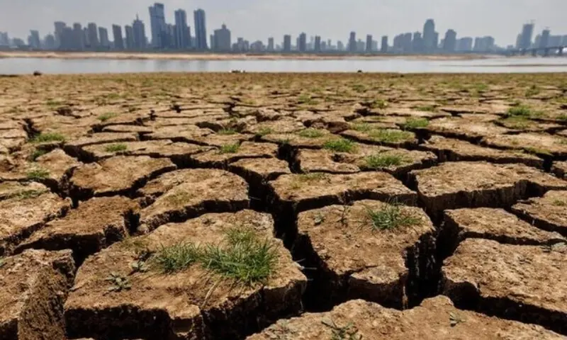 Warming El Nino set to return in mid-2026: UN