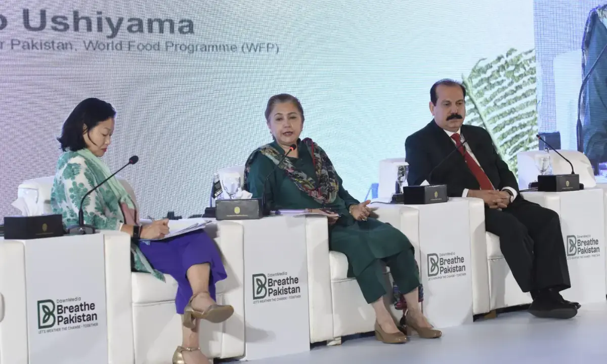 Breathe Pakistan: Ministry official says govt ‘very actively engaged’ with all provinces on climate change
