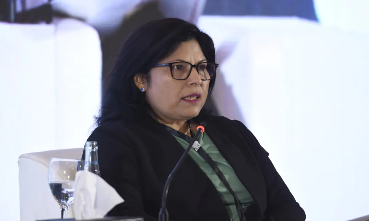 Breathe Pakistan: Envoy notes melting glaciers ‘shared vulnerability’ for countries like Nepal, Pakistan
