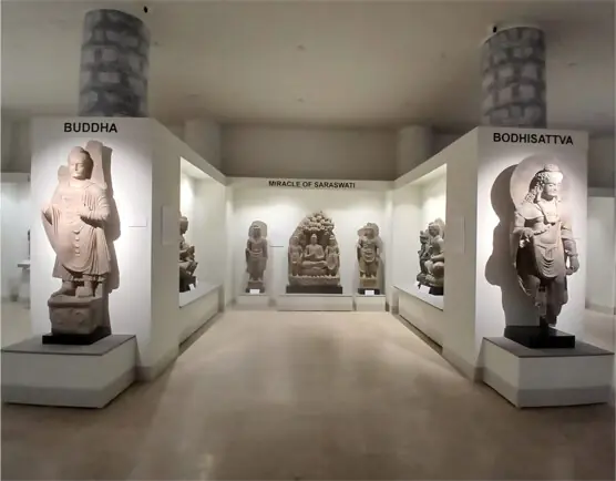  A New gallery titled &lsquo;Legacy Returns Home&rsquo; is set to open in the coming week with 170 ancient artifacts from Gandhara period repatriated from the US on display.  