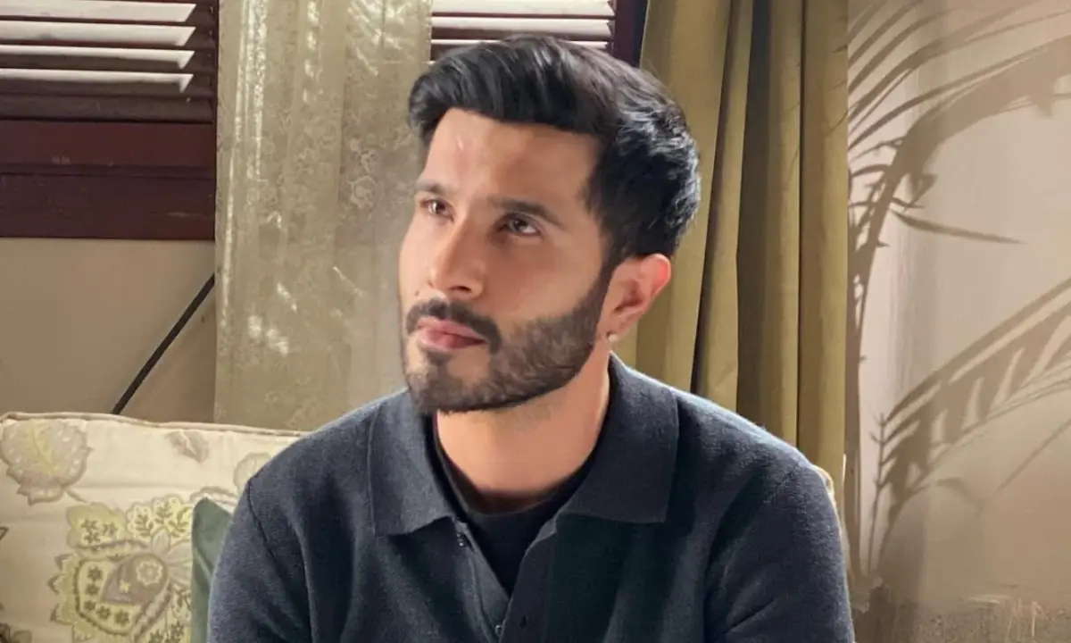 Feroze Khan believes artists would be better off without uninformed criticism of their craft
