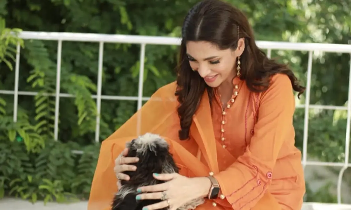 Zhalay Sarhadi wants to know why people think it's okay to start killing animals when it suits them