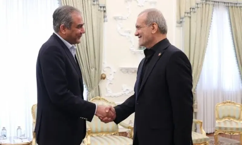 Interior Minister Mohsin Naqvi meets Iranian President Masoud Pezeshkian at the Presidential Palace on May 17. — IRNA