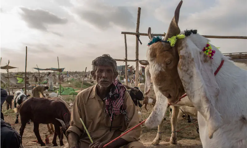 THE ECONOMICS OF PAKISTAN’S EIDUL AZHA