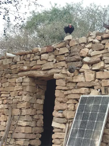 A rooster seen perched on the roof of the two brothers’ house.