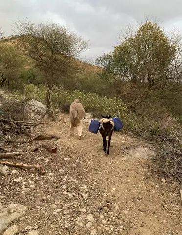 Mohammad Haneef heads to a nearby spring on his donkey to collect water.