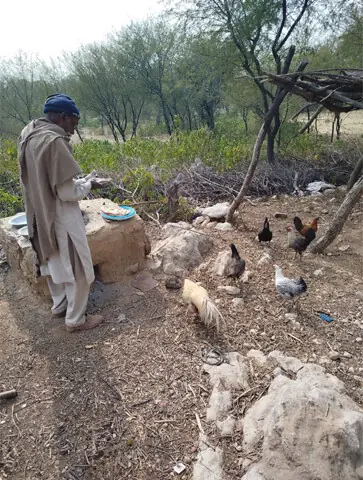 Mohammad Haneef scratches flour from his hand as his flock of chicken surround him.