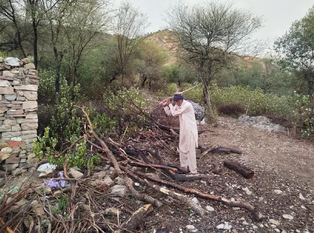 Mohammad Haneef chops wood to use it as firewood.