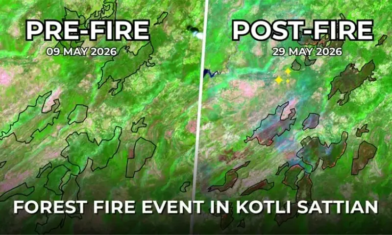 Devastating fire decimates over 3,000 hectares of forest tree cover in Kotli Sattian