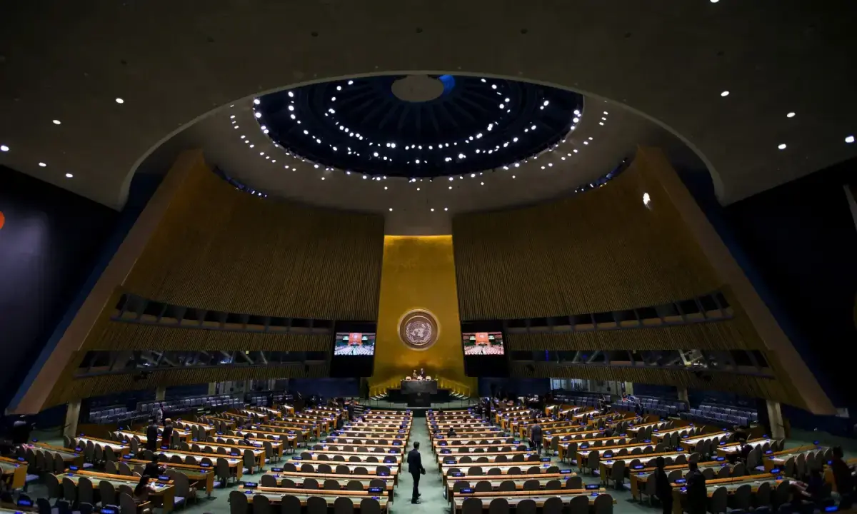 UN affirms Kashmir and Palestine are unresolved disputes